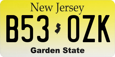 NJ license plate B53OZK