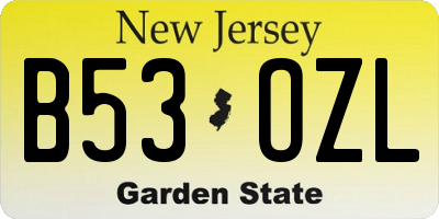 NJ license plate B53OZL