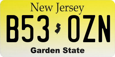 NJ license plate B53OZN