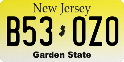 NJ license plate B53OZO