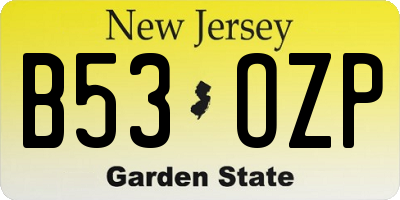 NJ license plate B53OZP