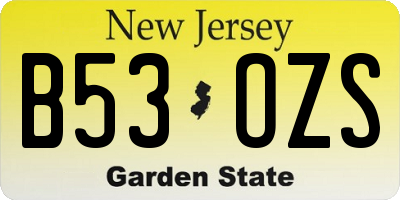 NJ license plate B53OZS