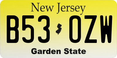 NJ license plate B53OZW