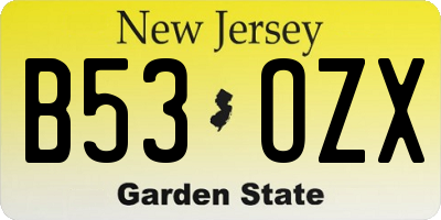 NJ license plate B53OZX