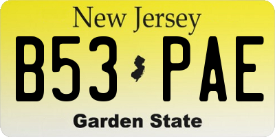 NJ license plate B53PAE