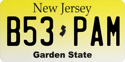 NJ license plate B53PAM