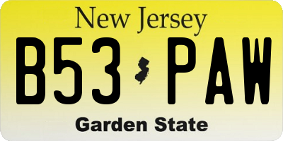 NJ license plate B53PAW