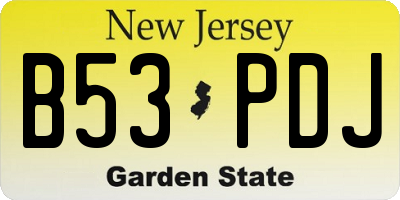 NJ license plate B53PDJ