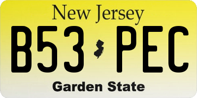 NJ license plate B53PEC