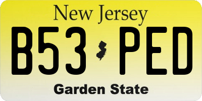 NJ license plate B53PED