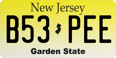 NJ license plate B53PEE