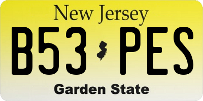 NJ license plate B53PES