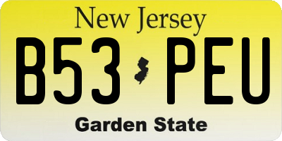 NJ license plate B53PEU