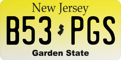 NJ license plate B53PGS