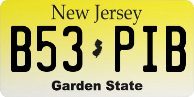 NJ license plate B53PIB