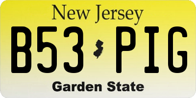NJ license plate B53PIG
