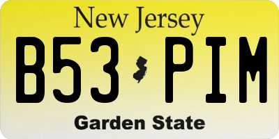 NJ license plate B53PIM