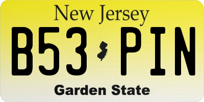 NJ license plate B53PIN