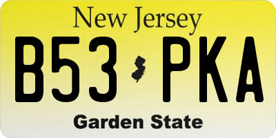 NJ license plate B53PKA