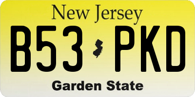 NJ license plate B53PKD
