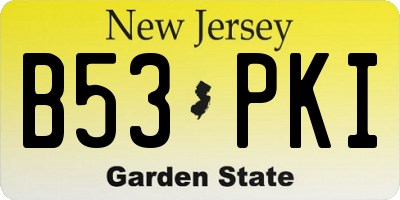 NJ license plate B53PKI