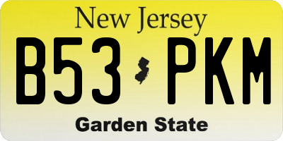 NJ license plate B53PKM