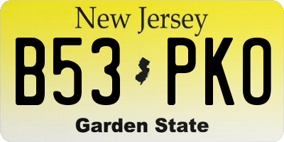 NJ license plate B53PKO