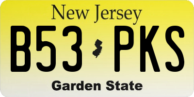 NJ license plate B53PKS