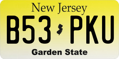 NJ license plate B53PKU