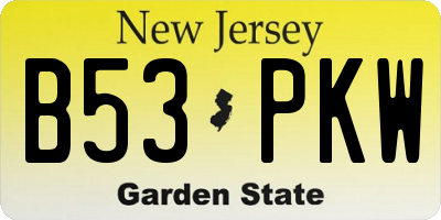 NJ license plate B53PKW