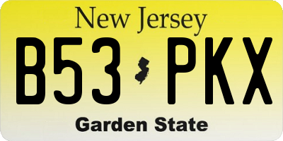 NJ license plate B53PKX