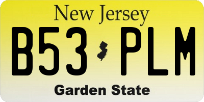 NJ license plate B53PLM