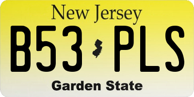 NJ license plate B53PLS