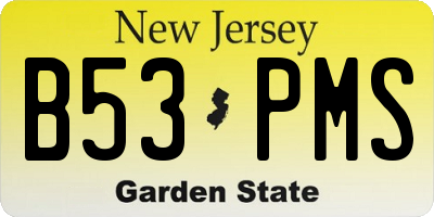 NJ license plate B53PMS