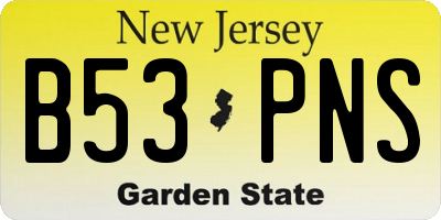 NJ license plate B53PNS