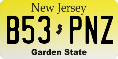 NJ license plate B53PNZ