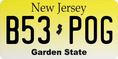 NJ license plate B53POG