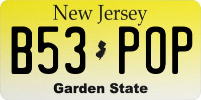 NJ license plate B53POP