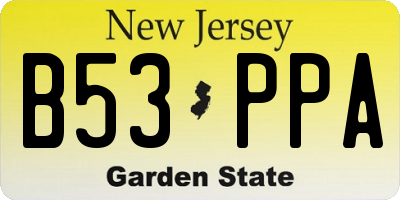 NJ license plate B53PPA
