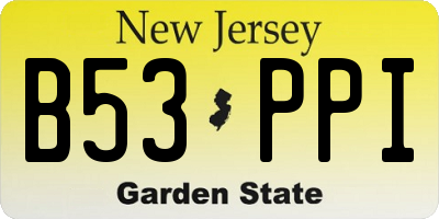 NJ license plate B53PPI