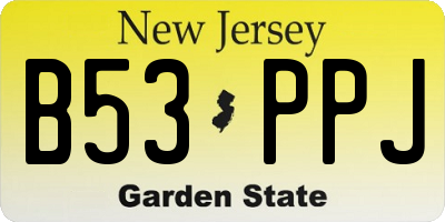 NJ license plate B53PPJ