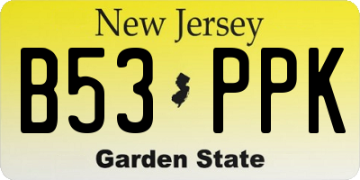 NJ license plate B53PPK