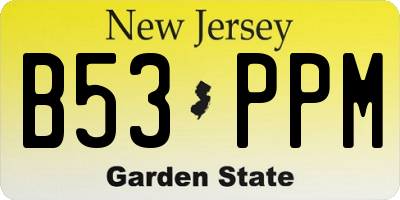 NJ license plate B53PPM