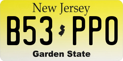 NJ license plate B53PPO