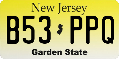 NJ license plate B53PPQ