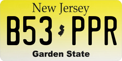 NJ license plate B53PPR