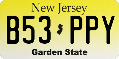 NJ license plate B53PPY