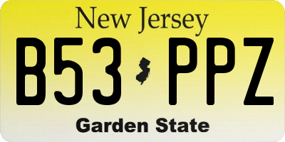 NJ license plate B53PPZ