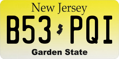 NJ license plate B53PQI