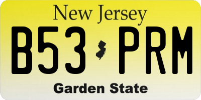 NJ license plate B53PRM